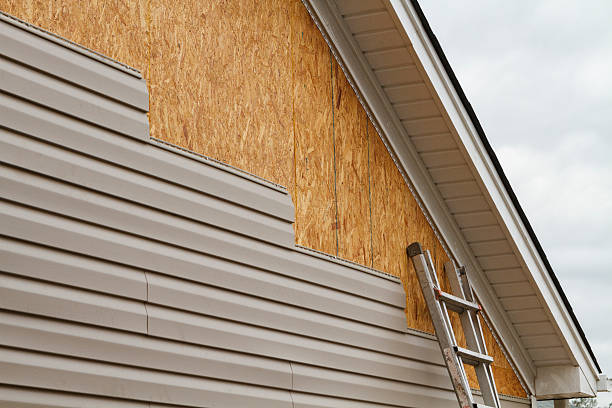 Professional Siding Contractor technician working in Melbourne, KY